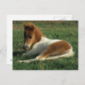 Miniatuurslachtafvallen Briefkaart (Voorkant / Achterkant)