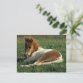 Miniatuurslachtafvallen Briefkaart (Staand voorkant)