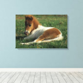 Miniatuurslachtafvallen Canvas Afdruk (Insitu (Houten vloer))