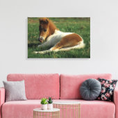 Miniatuurslachtafvallen Canvas Afdruk (Insitu (Woonkamer))