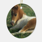 Miniatuurslachtafvallen Keramisch Ornament (Links)