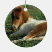 Miniatuurslachtafvallen Keramisch Ornament (Achterkant)