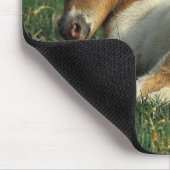 Miniatuurslachtafvallen Muismat (Hoek)