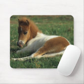 Miniatuurslachtafvallen Muismat (Met muis)