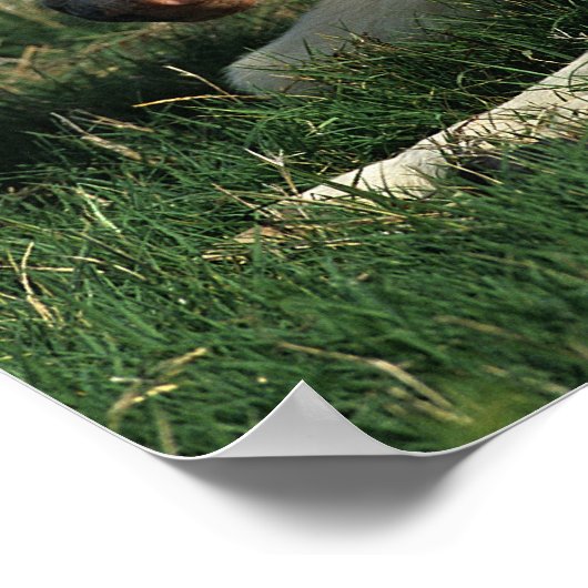 Miniatuurslachtafvallen Poster (Hoek)