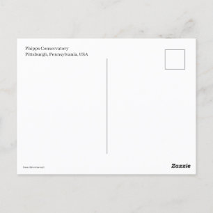 miniatuurtrolley briefkaart