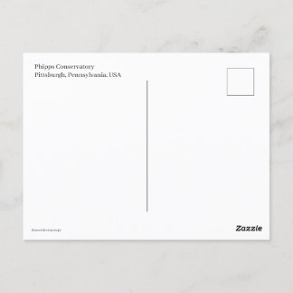 miniatuurtrolley briefkaart