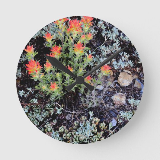 Miniatuurtuin bij Gem Lake Ronde Klok (Voorkant)