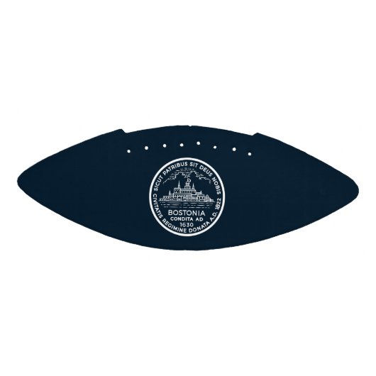 minicentrum van Boston in Football (Paneel)