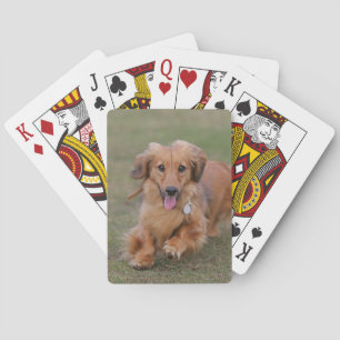 Minie Dachshund Running Pokerkaarten