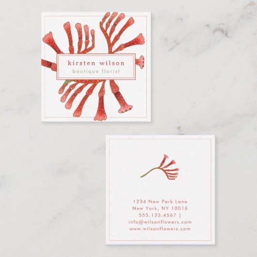 Minimaal, Elegant Kangaroo Paw Flowers Square Busi Vierkante Visitekaartje (Voorkant / Achterkant)