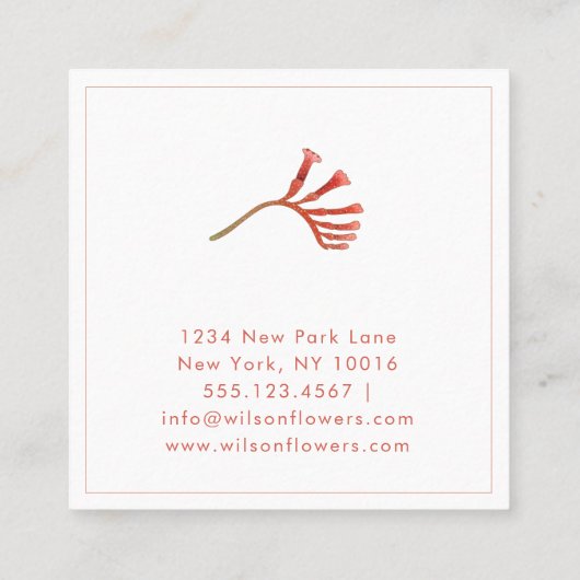 Minimaal, Elegant Kangaroo Paw Flowers Square Busi Vierkante Visitekaartje (Achterkant)