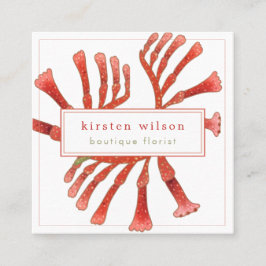 Minimaal, Elegant Kangaroo Paw Flowers Square Busi Vierkante Visitekaartje