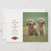 Minimaal Moppige Uitdrukking Huisdier Kerst Foto Feestdagenkaart (Voorkant)