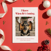 Minimal Cute Dog Funny Pet Photo Christmas Feestdagenkaart