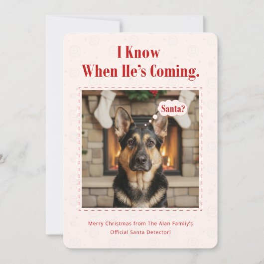 Minimal Cute Dog Funny Pet Photo Christmas Feestdagenkaart (Voorkant)