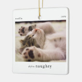 Minimal Definieer Naughty Pet Photo Keepsake Keramisch Ornament (Links)