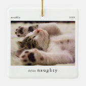 Minimal Definieer Naughty Pet Photo Keepsake Keramisch Ornament (Achterkant)