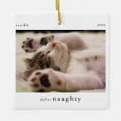 Minimal Definieer Naughty Pet Photo Keepsake Keramisch Ornament (Voorkant)