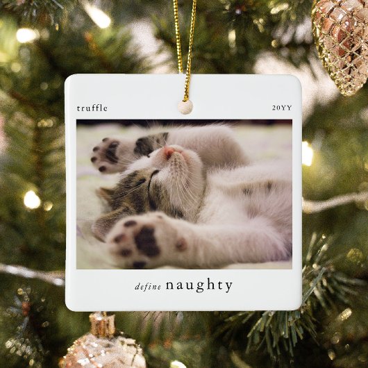 Minimal Definieer Naughty Pet Photo Keepsake Keramisch Ornament