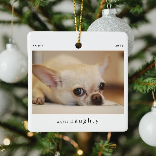 Minimal Definieer Naughty Pet Photo Keepsake Keramisch Ornament