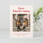 Minimal Funny Adorable Dog Pet Photo Christmas Feestdagenkaart (Staand voorkant)