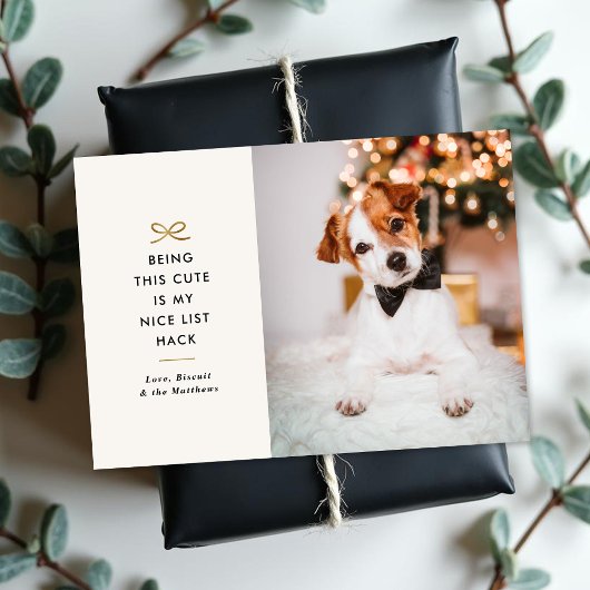 Minimal Gold Bow Cute Saying Pet Christmas Photo Feestdagenkaart