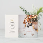 Minimal Gold Bow Cute Saying Pet Christmas Photo Feestdagenkaart (Staand voorkant)