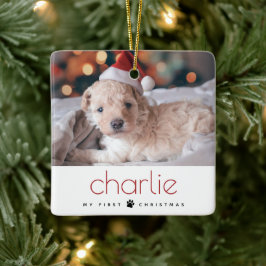 Minimal Modern Type Pet's Eerste Kerstfoto Keramisch Ornament