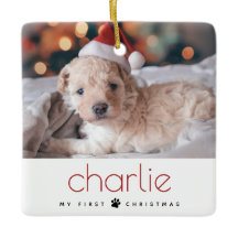 Minimal Modern Type Pet's Eerste Kerstfoto