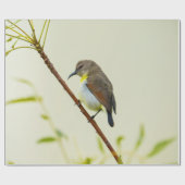 Minimal Nature Bird Wrapping Paper Cadeaupapier (Vlak)