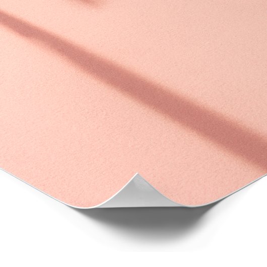 Minimal Palm Tree Shadows – Soft Coral Aesthetic Poster (Hoek)