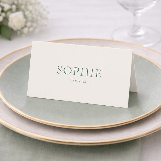 Minimal Sage Green Wedding Place Card Kaart