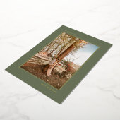 Minimale aankondiging van groene goudweduwen (Gedraaid)