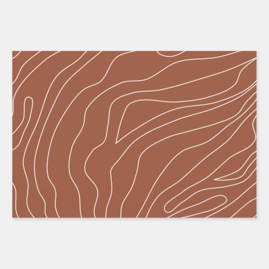 Minimale Abstracte lijnen Rust Terracotta Inpakpapier Vel (Voorkant 3)