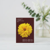 Minimale bloemen - Chrysanthemum - Diep bruin Visitekaartje (Staand voorkant)