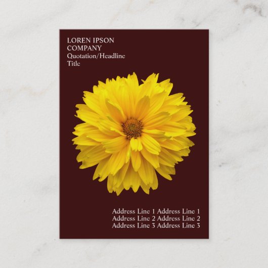 Minimale bloemen - Chrysanthemum - Diep bruin Visitekaartje (Voorkant)