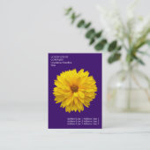 Minimale bloemen - Chrysanthemum - Diep Violet Visitekaartje (Staand voorkant)
