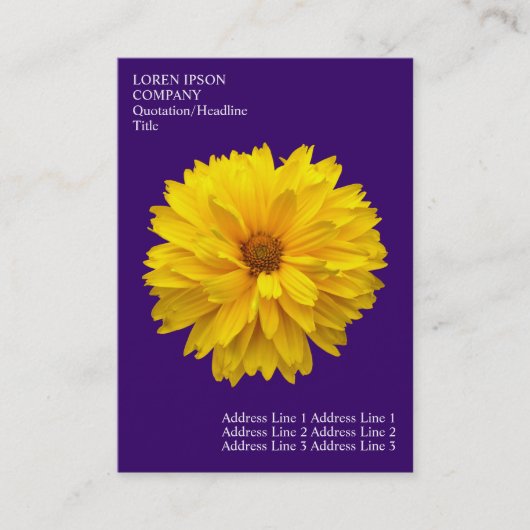 Minimale bloemen - Chrysanthemum - Diep Violet Visitekaartje (Voorkant)