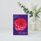 Minimale bloemen - Rode Camelia - Diep Violet Visitekaartje (Staand voorkant)