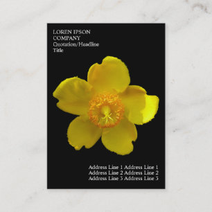 Minimale bloemen - Sint-janskruid - Zwart Visitekaartje