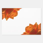 Minimale bloemenfotografie wit sinaasappel inpakpapier vel (Voorkant 3)