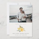 Minimale botanische Lemon foto bespaart de Kaart D (Voorkant)