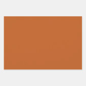 Minimale bruine bronzen bruine elegant inpakpapier vel (Voorkant 3)