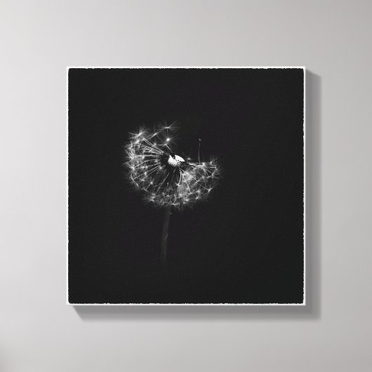 Minimale Dandelion Gone to Seed Black and White Canvas Afdruk (Voorkant)