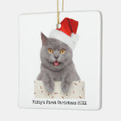 Minimale eenvoudige kerstfoto met moderne kattenfo keramisch ornament (Links)