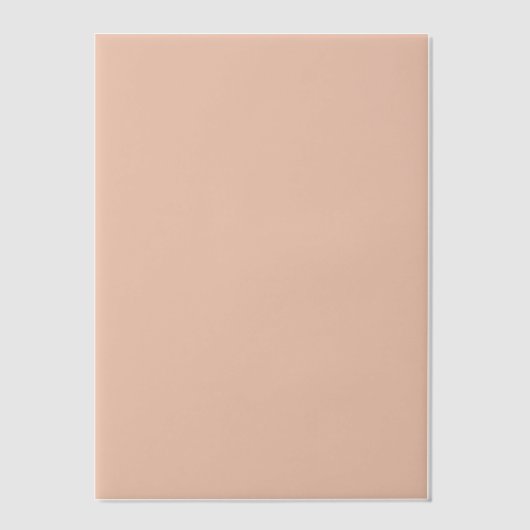 Minimale Elegante Terracotta Bruiloft Vellum Uitnodigingen (Voorkant)