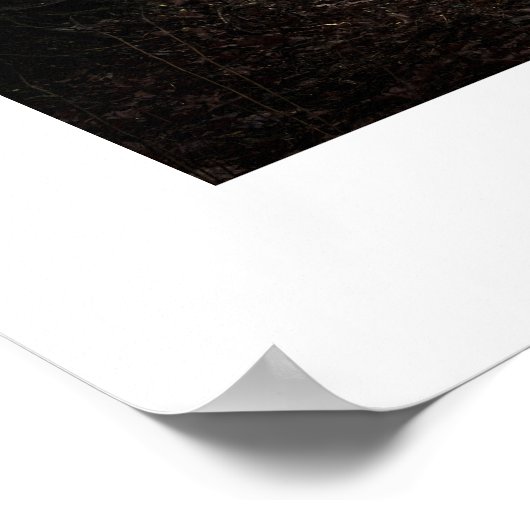 Minimale foto- en schrijfmachinekaart poster (Hoek)