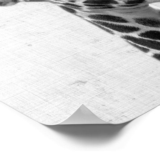 Minimale Giraffe voor zwarte en witte peekaboo Poster (Hoek)