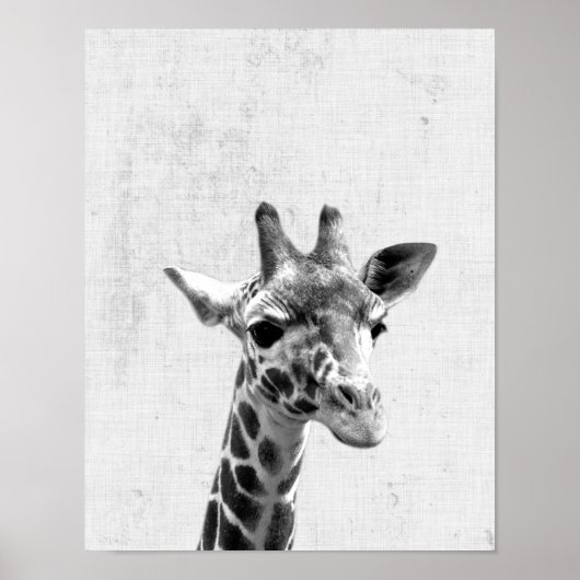 Minimale Giraffe voor zwarte en witte peekaboo Poster (Voorkant)